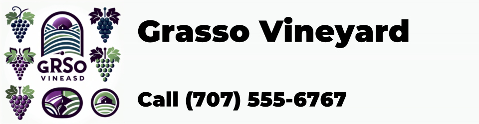 Grasso Vineyard